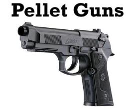 Pellet Gun Training, gun safety, 